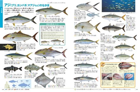 魚類大全|WEB魚図鑑